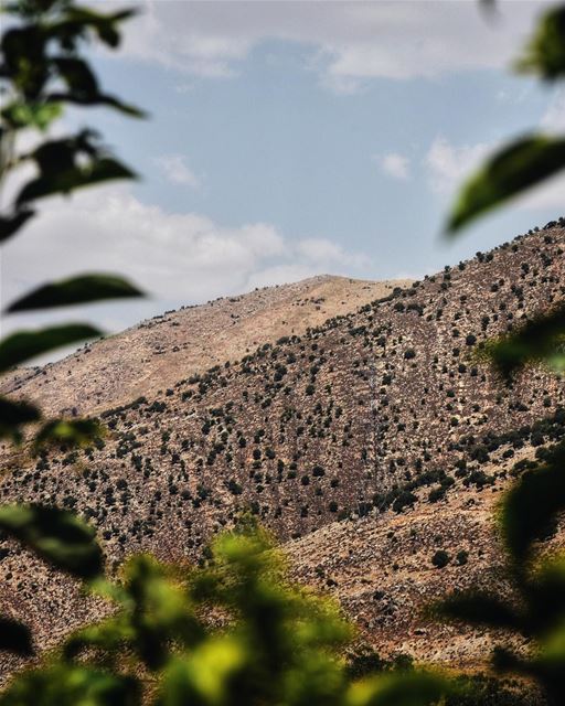 And it was there, that trip, that I fell in love with the mountains for... (Baalbek, Lebanon)