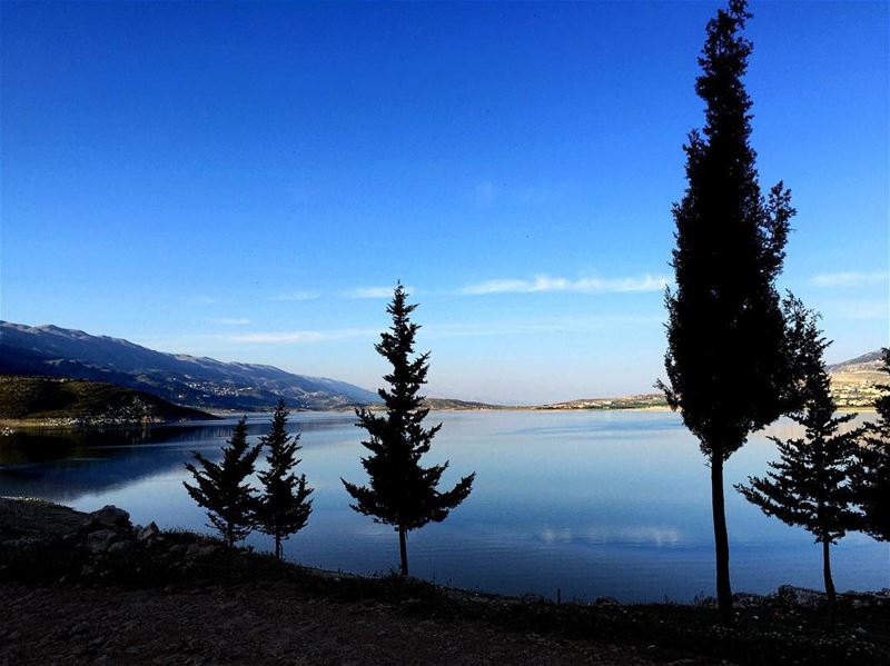 And Then, There Was Silence. Lebanon’s largest lake, Lake Qaraoun, is... (Lake Qaraoun)