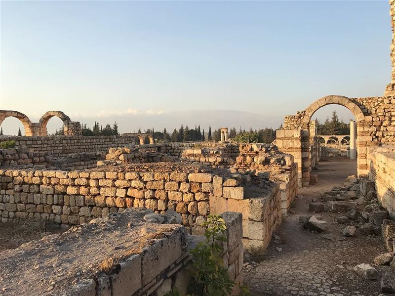 ~ Anjar - A  Lovely  OldCity ~_________________________ Ruins... (`Anjar, Béqaa, Lebanon)