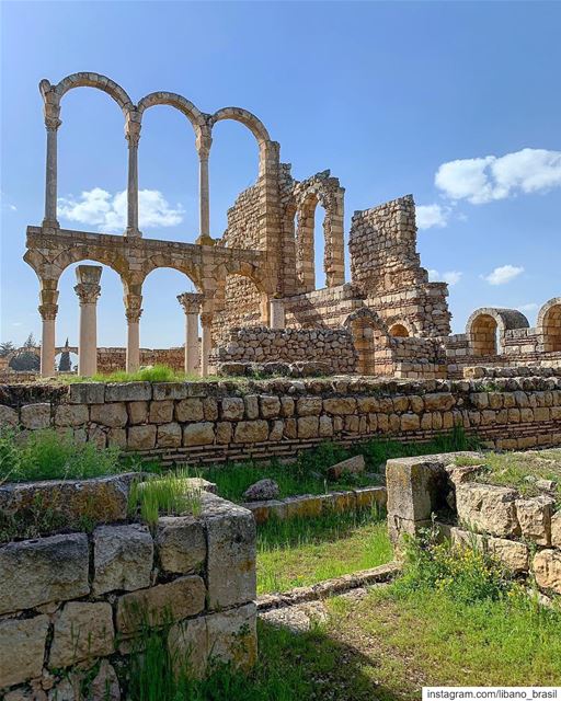 🇱🇧🇧🇷 Anjar, construída no século 8, é uma testemunha notável da... (`Anjar, Béqaa, Lebanon)