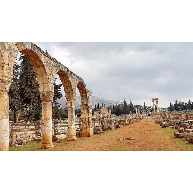  AnjarThe city of Anjar was founded by Caliph Walid I at the beginning of... (`Anjar, Béqaa, Lebanon)