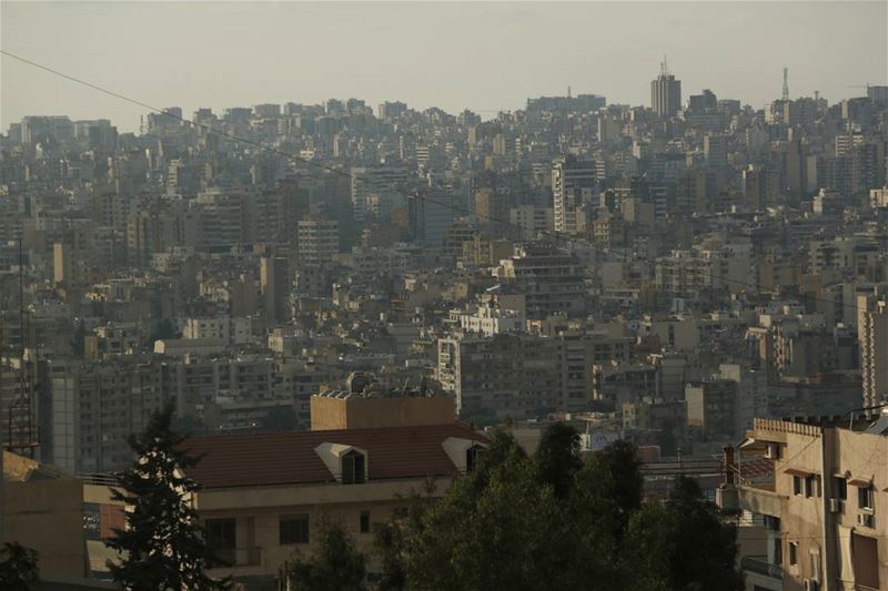 Another look down on Beirut... This time from  backyard  hazmieh ...... (The Backyard Hazmieh)