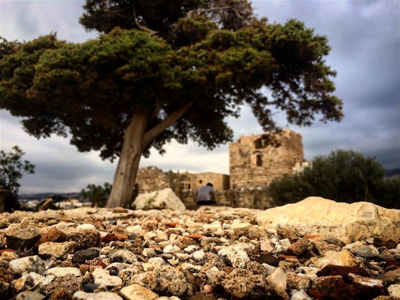 Anything that costs you your peace is too expansive. 🏛🌳 ... (Byblos Castle)