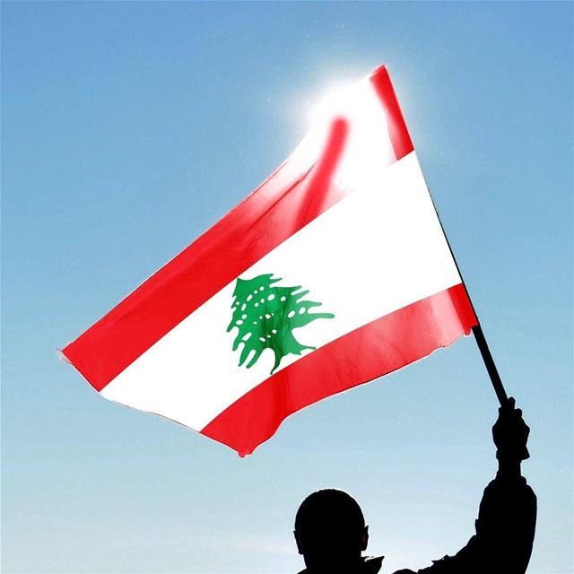 🇱🇧🇧🇷 Ao reivindicar a sua nacionalidade libanesa, você ganha todos os...