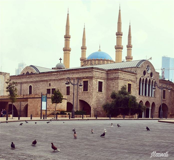 architect architecture church mosque building birds bird beirut lebanon... (Beirut, Lebanon)