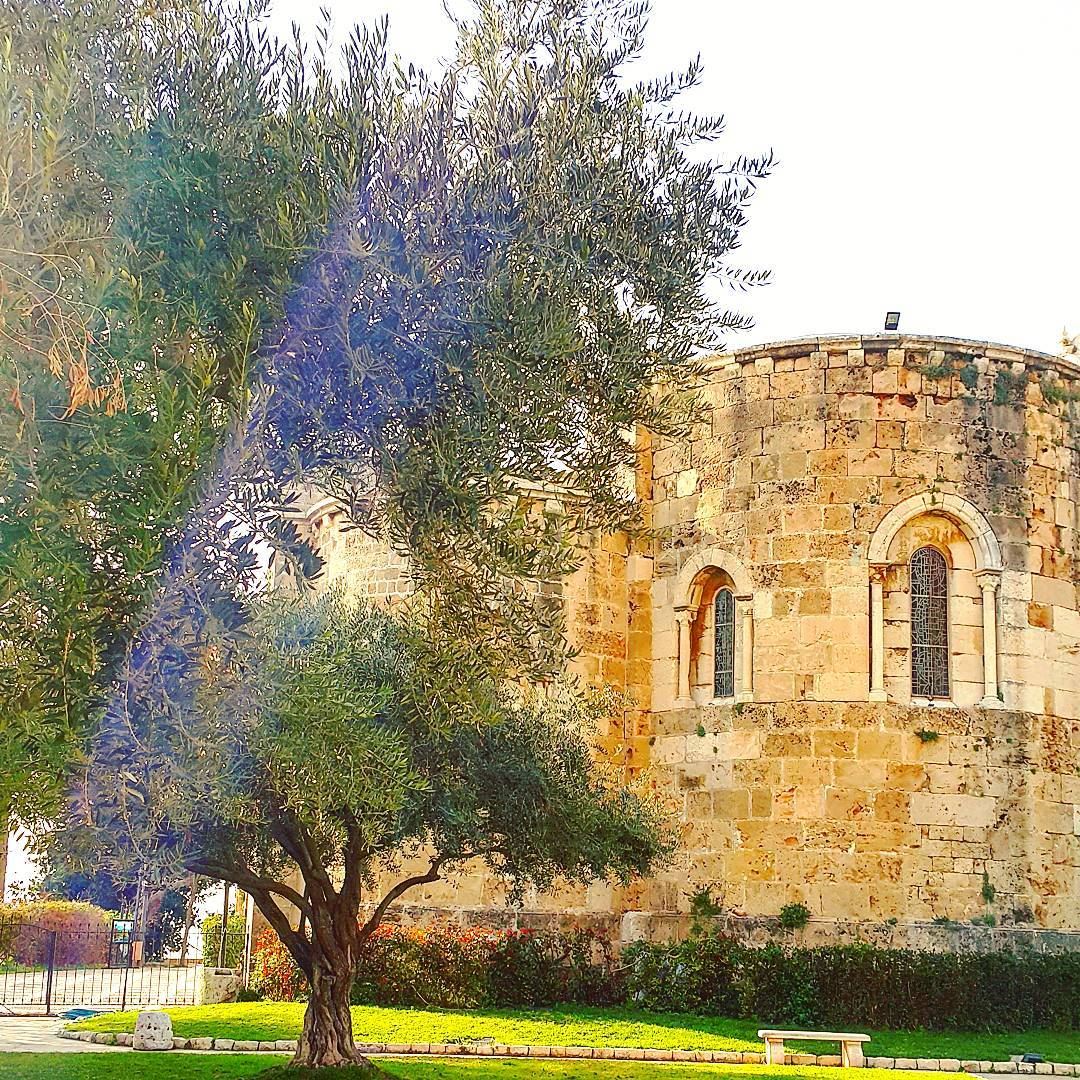  architecture lebanonarchitecture church tree archilovers wonderfulplaces... (Byblos - Jbeil)