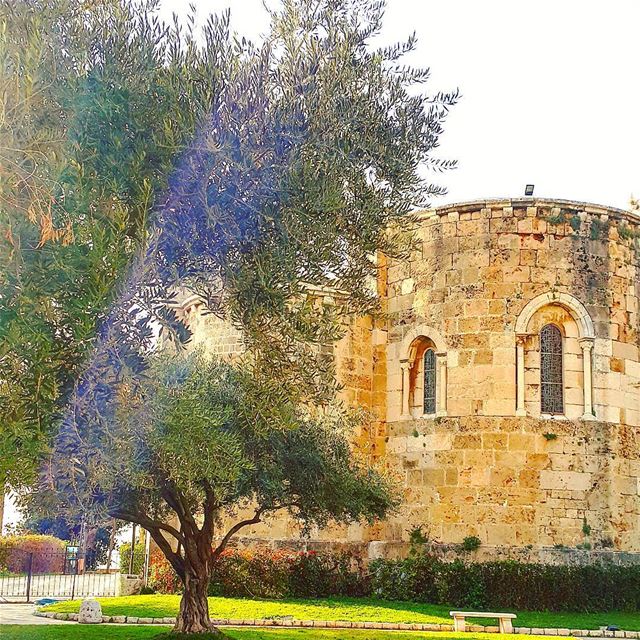  architecture lebanonarchitecture church tree archilovers wonderfulplaces... (Byblos - Jbeil)