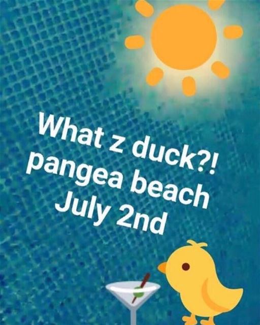 Are you ready to finally Meet Z DUCK!? 🐤🐤you're lucky - we are giving a... (Pangea Beach Resort)