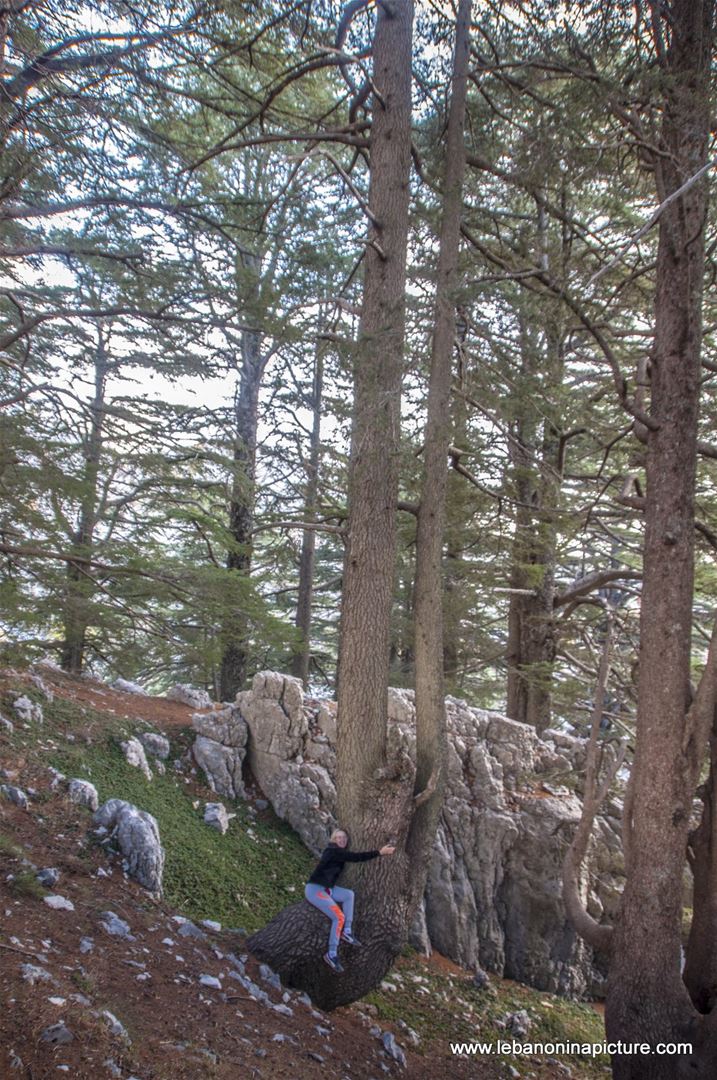 Arez El Rab Jaj - Mount Lebanon