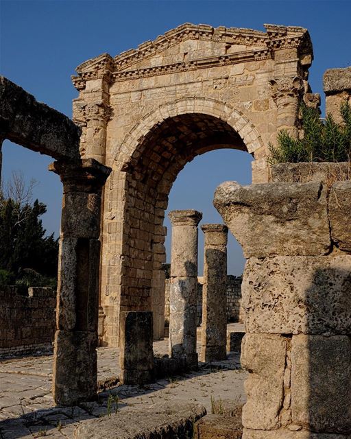Arriving in Style. There’s nothing like a triumphal archway (or a sweeping... (Tyre, Lebanon)