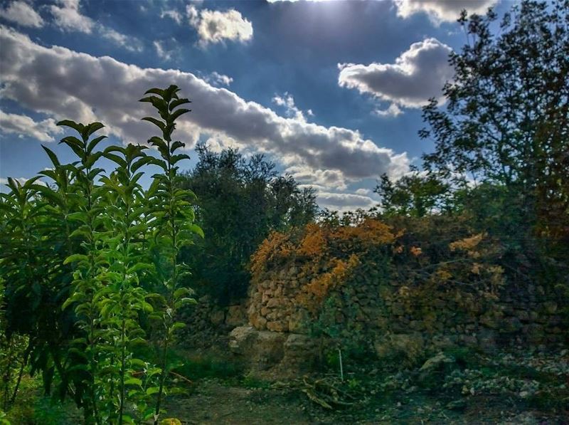  autumn by @firassafwan hermel  hermel_city  bekaa  lebanon  lebanon_hdr ... (El Hermel, Béqaa, Lebanon)