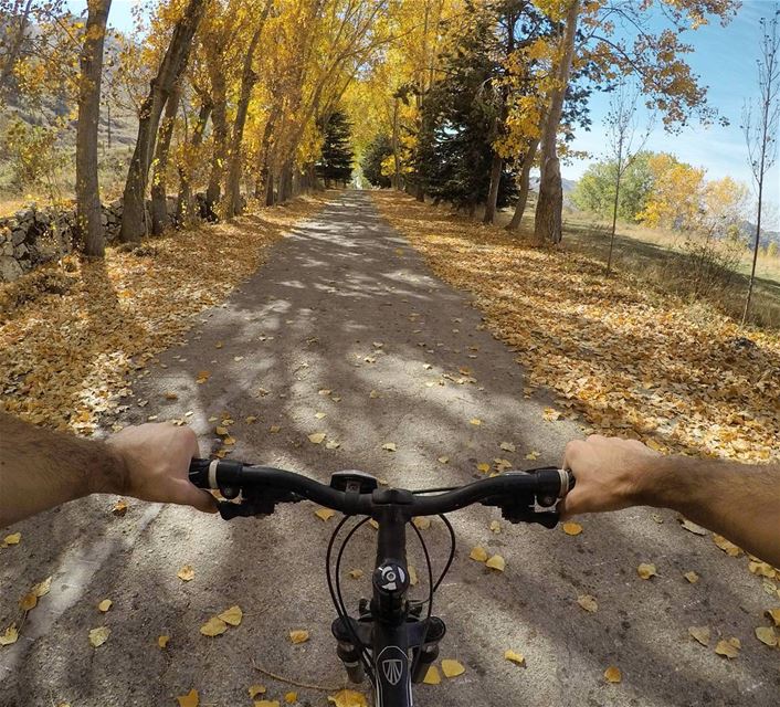 Autumn Rides Are The Best 🍁