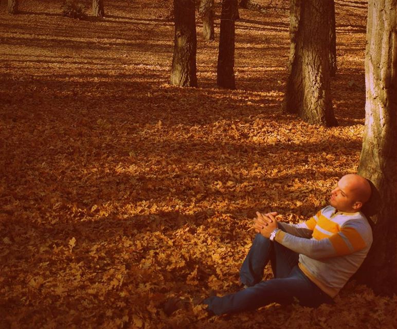 Autumn spirit in the wood 🍁🍁🍁 |  LiveLoveAkkar  Akkar  AzerForest ... (غابة العذر)