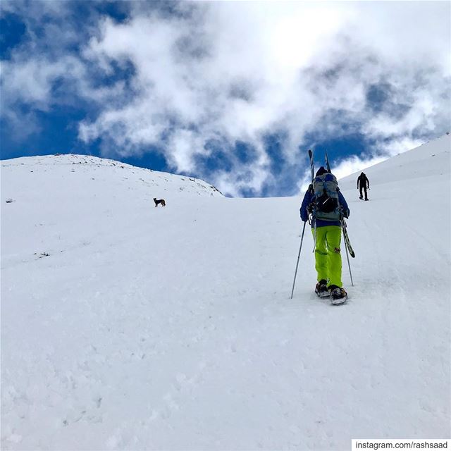 Avant-première ⛷ .... hiking  snowshoeing  skiing  snow ... (Mzaar Kfardebian)