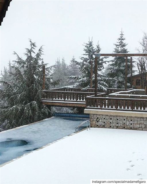 Baby it’s freezing outside ❄️ ⛄️  faraya  winterinlebanon  lebanon ...