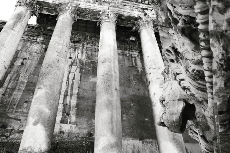 Bacchus and the Lion! temple  pillars  lion  stone   statue ... (Baalbek , Roman Temple , Lebanon)