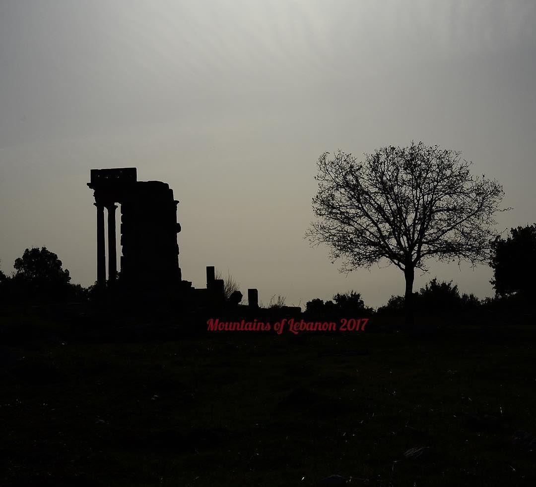 Back lit silhouette of the Roman temple at Machnaqa... and a barren tree... (El Machnaqa)