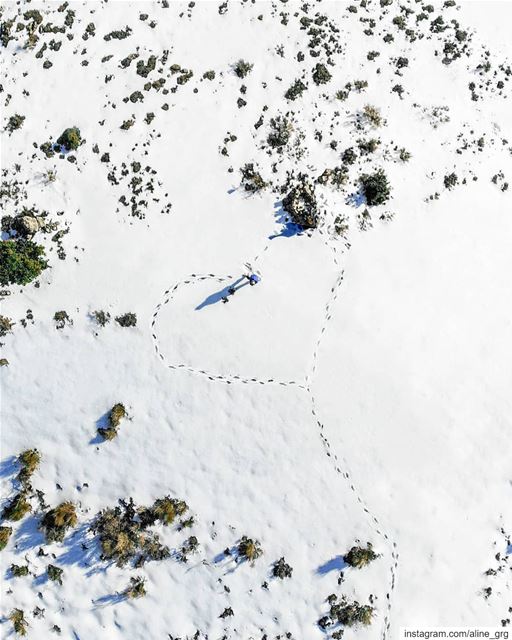 ° ♡🎈° banksy  snow  mountain  luna_drone  mavicair  mavic  dji  light ... (Saghbîne, Béqaa, Lebanon)