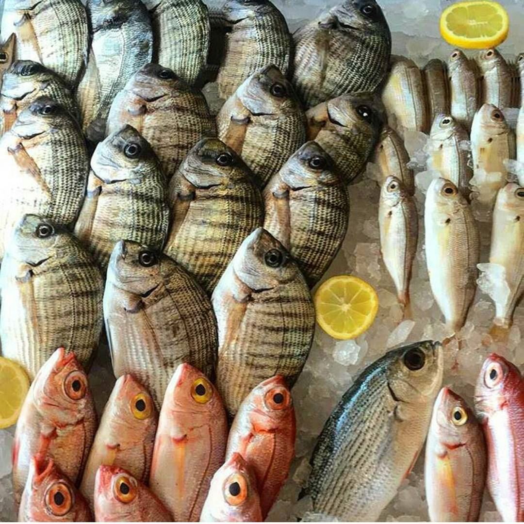  batroun  restaurants  kaptn  freh  fish  seafood  mediterranean  cuisine ... (Kaptn)