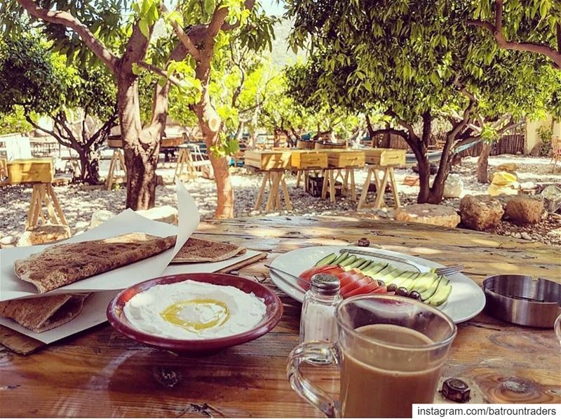  batroun  البترون_سفرة  morning  breakfast  bedandbreakfast  nature ... (Mayouli Bed & Breakfast)