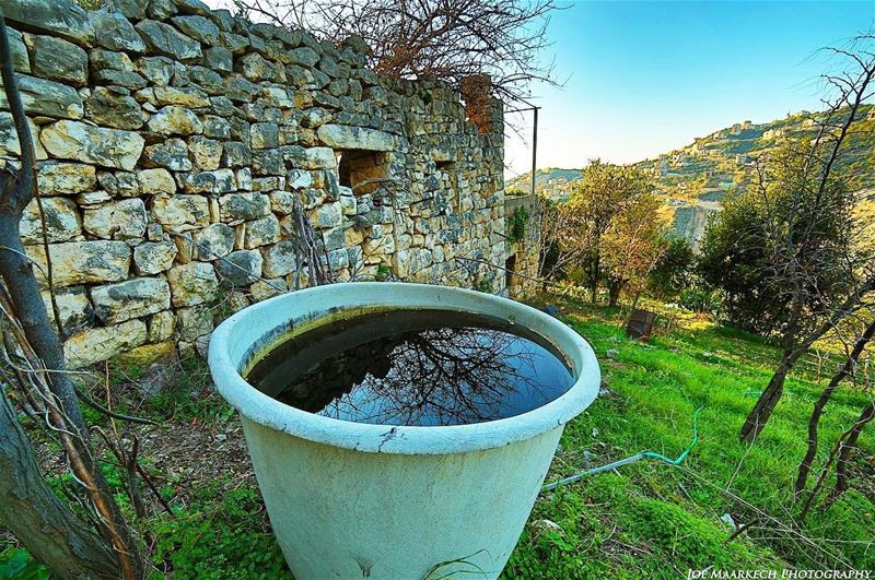 Be happy for this moment. This moment is your life.  oldhouse  old  nature... (Ghazir, Mont-Liban, Lebanon)