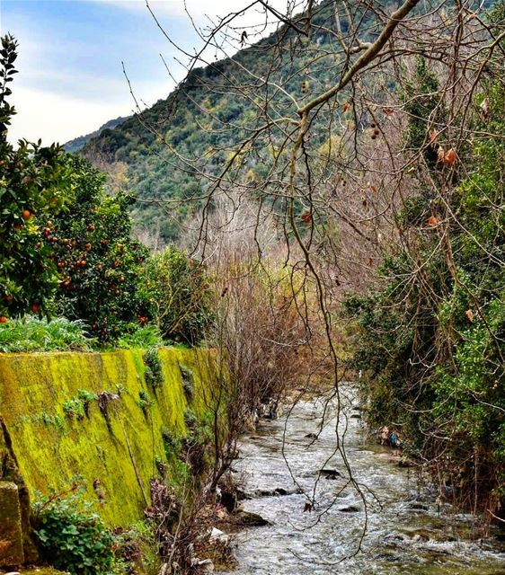 Be still like a mountain and flow like a river  river  water ... (Kaftoûn, Liban-Nord, Lebanon)