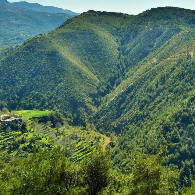 Beautiful, green Akkar 💚 LiveLoveAkkar  LiveLoveTrees  LiveLoveNature ... (`Akkar Al `Atiqah, Liban-Nord, Lebanon)