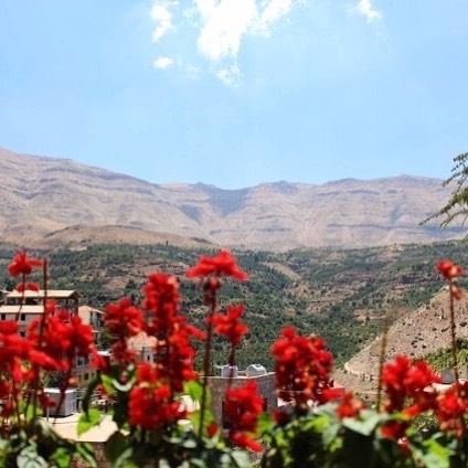 Beautiful Photo Taken By @perla_ak thank you ❤️ onlyfiliban  bsharri ... (Bsharri, Lebanon)