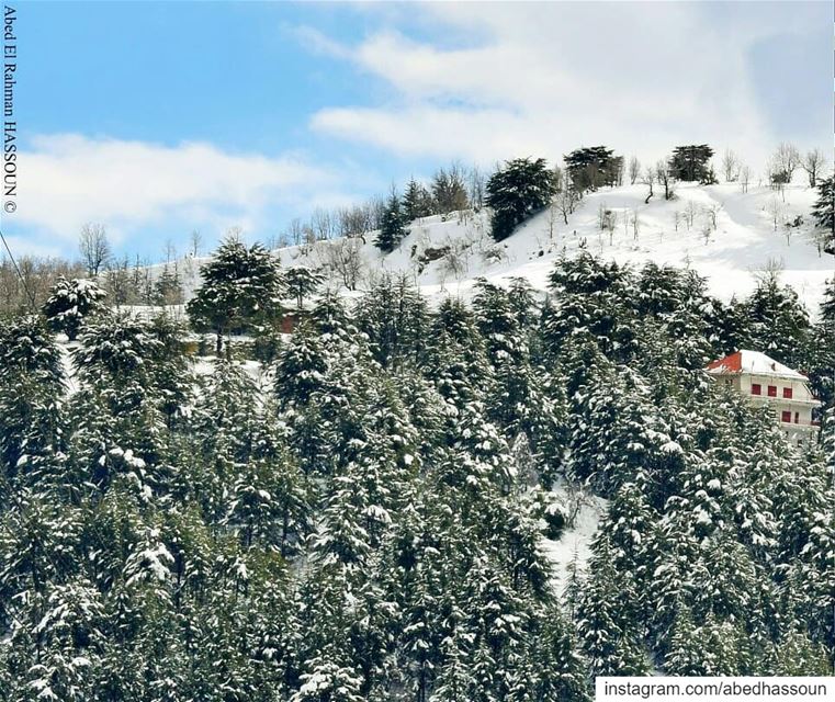 Beautiful snowy mountains❄🌲❄🌲❄ (Swipe 👉)................. (Hadath El Jebbeh - Bcharré)