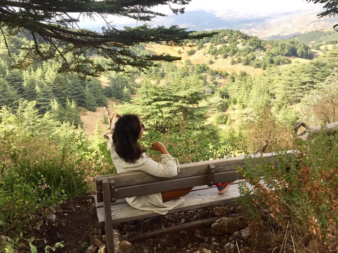 ...because when you stop and look around,this life is pretty amazing 🙂... (Al Shouf Cedar Nature Reserve)