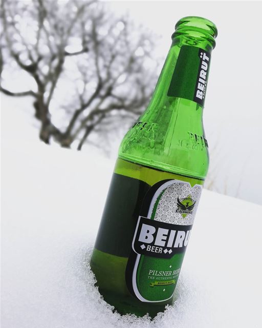 beer  beirutbeer  sunday  fun  family  happy  cold  weather ... (The Cedars of Lebanon)