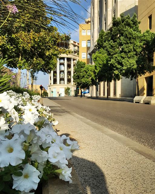 Beirut streets on Sundays..In the summer..In July..🌿💙🌿When running... (Downtown Beirut)