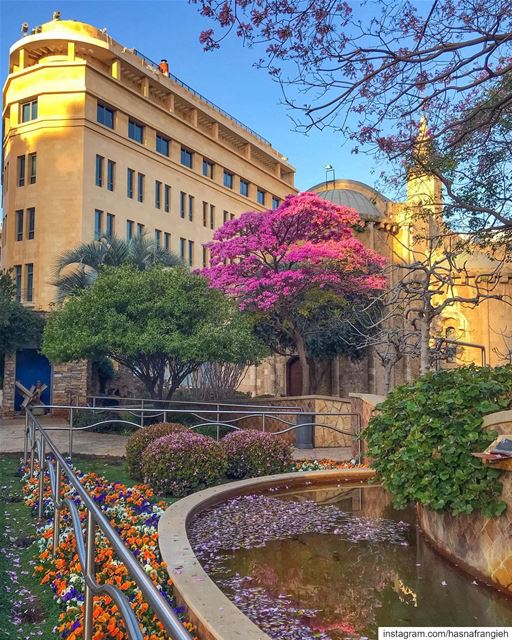  Beirut where hope always blossoms 🌸💙... (Beirut, Lebanon)