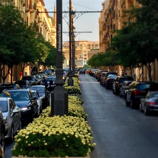 💛.🇱🇧. beiruting  downtown   love  lebanon  beirut  homeland ... (Downtown Beirut)