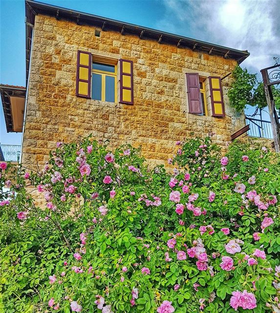Beit Douma  beitdouma  douma  lebanonhouses  flower  flowersofinstagram ... (Douma, Liban-Nord, Lebanon)