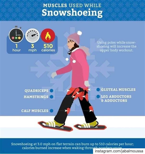 Benefits of Snowshoeing. JabalMoussaCall us at 71-944405 for more...