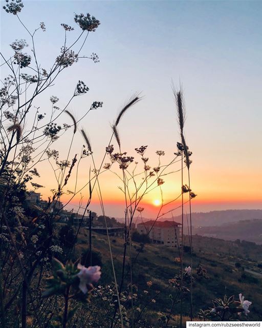 Bhamdoun, Lebanon: golden sunsets and views for days 🌅  rubzseestheworld... (Bhamdoûn, Mont-Liban, Lebanon)