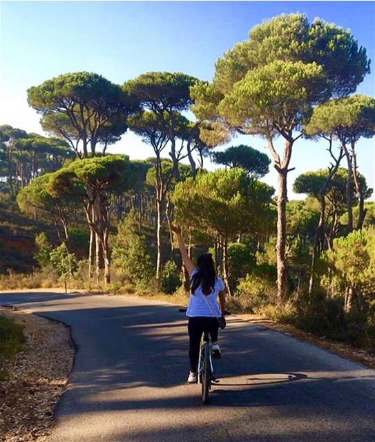  biking  freestyle  roadtrip  nature  naturelovers  jezzine  instamood ... (Jezzîne, Al Janub, Lebanon)