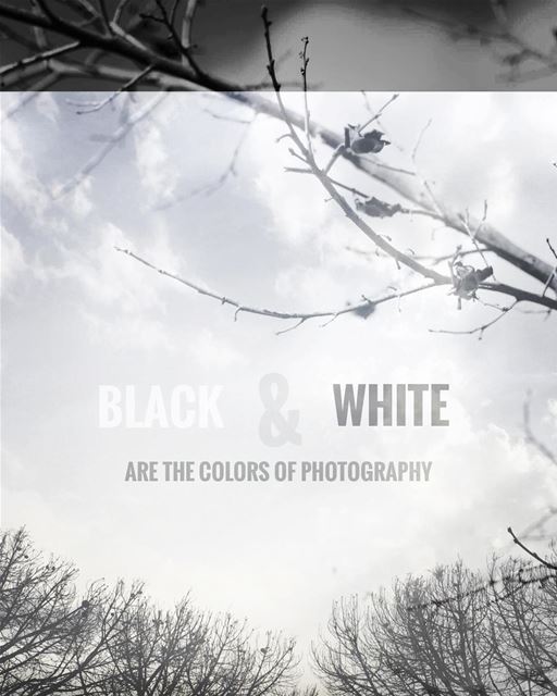 Black & White are the colors of photography ,,,  blacknwhite_perfection ...