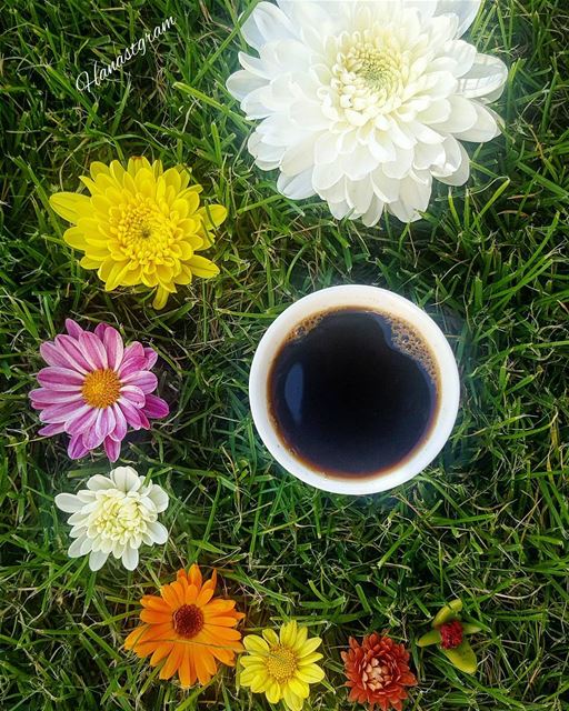 Bloom where god plants you..🌼 coffeeplease  coffee  cup  coffeetime ...