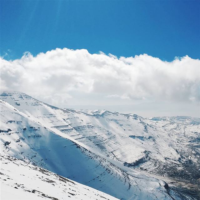 blueholic 🔵.... blueholics  lebanon  mzaarskiresort  mzaar ... (Mzaar Ski Resort Kfardebian)