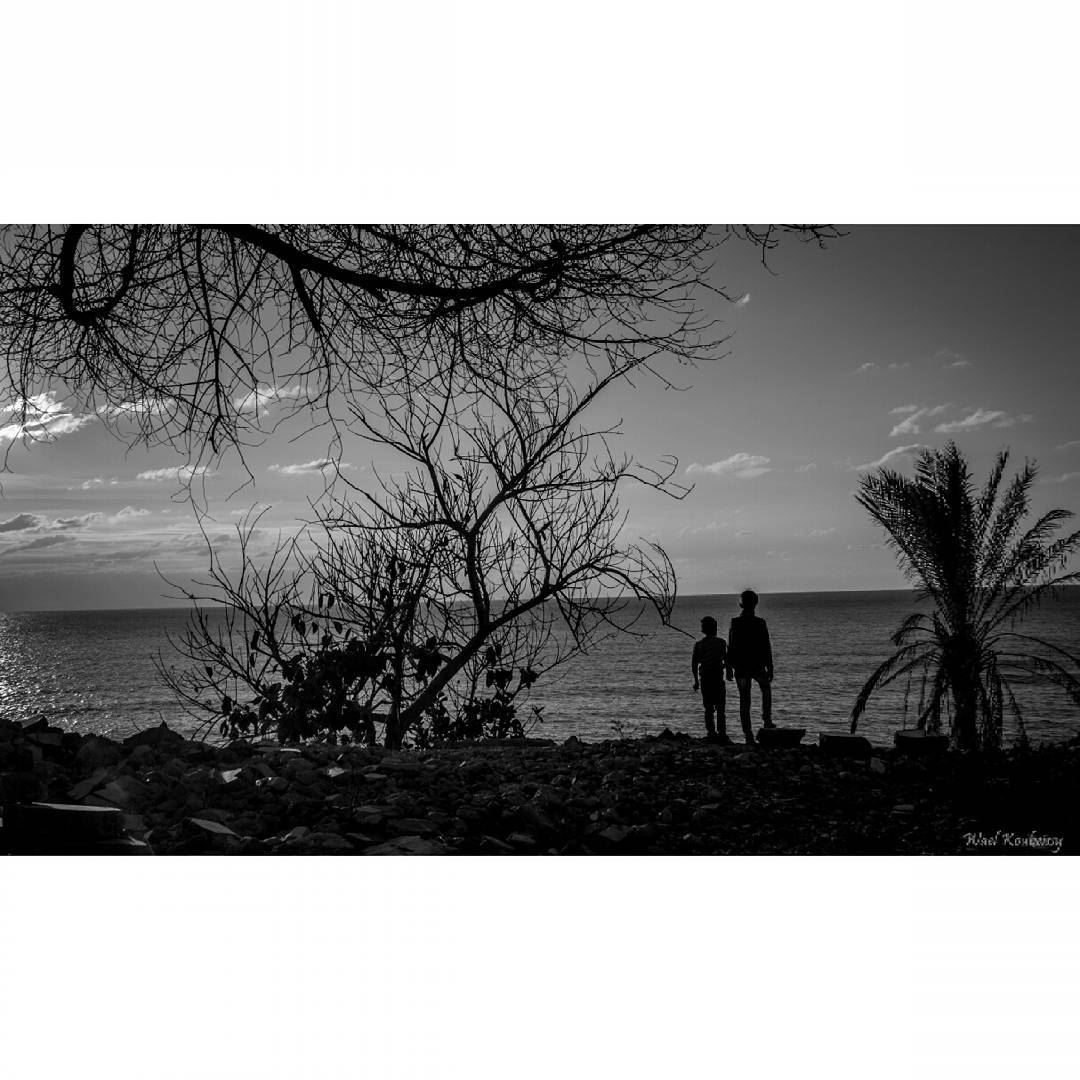  bnw  boys  sea  shore  blackandwhite  trees  silhouette  photography ...