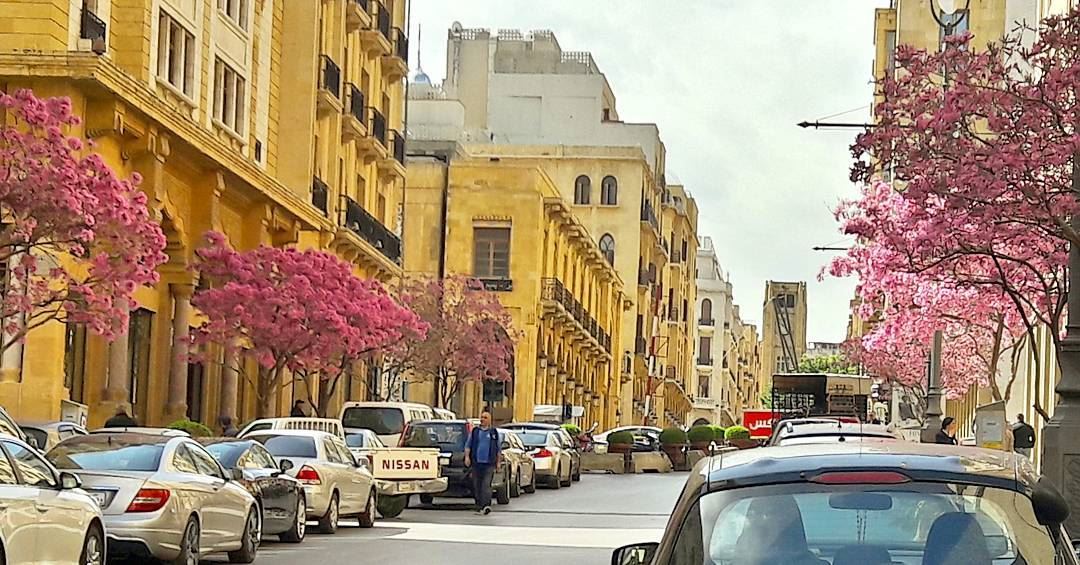 Bonjour  Beirut 😍 MyBeirut  MyLebanon  Lebanon  Lebanese  Mediterranean... (Downtown Beirut)