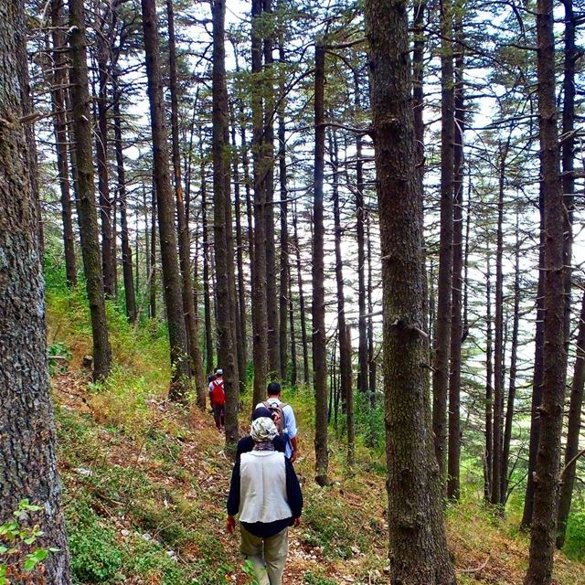 Book your Hiking Experience.It's Sunday, August 20.Info. 03955642🌲::::: (Aïn Zhalta, Mont-Liban, Lebanon)