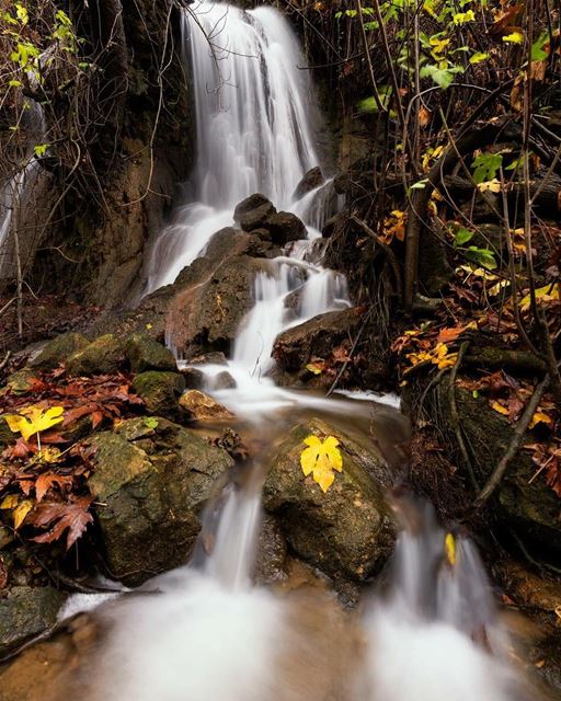 Boundless Falls.. water  fall  waterfall  leaves  yellowleaves  rock ...