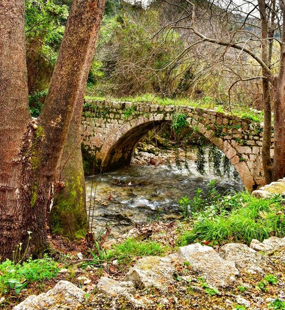  bridge  kaftoun  lebanoninapicture  ptk_lebanon  livelovebeirut ... (Kaftoûn, Liban-Nord, Lebanon)