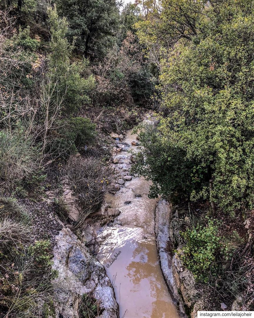 Call it magic... motherearth  Gaia  livelovechouf  hiking  hike  myescape ...
