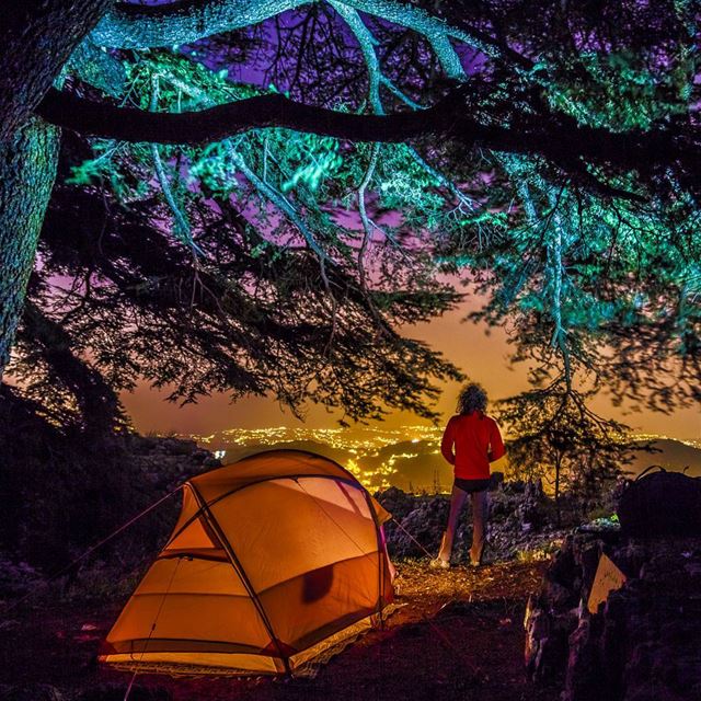 camping  cedars  light  tent  village  night  photography  lebanon ... (Arz Jaj)