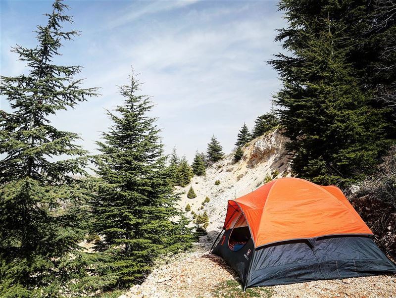 Camping is dangerous, How about routine ? camping  cedars  tent  outdoors... (Cedars Ground Campsite)