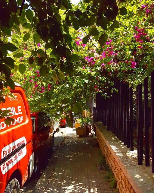 Can't get enough of Beirut's jungle & shaded sidewalks  hiddenbeirut 💚💖... (Sami El Solh Avenue)